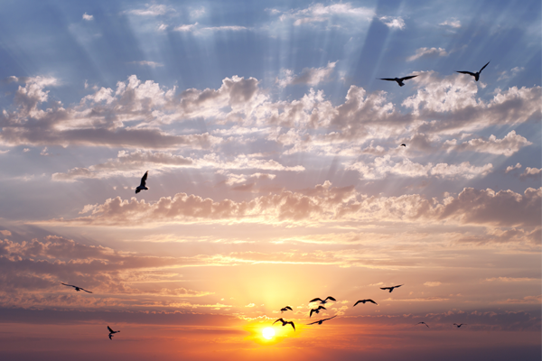 Artikel-bestattungsformen-4_600x400 Artikel-bestattungsformen-4_600x400